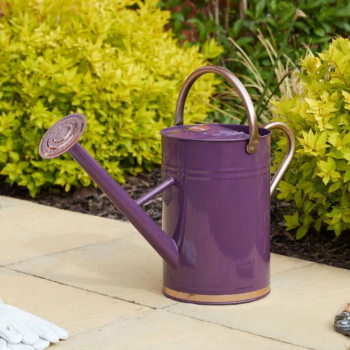 Metall-Gießkanne, Lila-pink, 4,5 Liter -Freien Garten Promotion Geschäft 0930401403 Giesskanne lila pink 2 105696