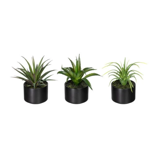 Kunstpflanzen 3er-Set Aloe Vera, Agave & Tillandsie, Topf-Ø 7,5 Cm, Höhe Ca.15cm -Freien Garten Promotion Geschäft 2220102253 Aloe Agave Tillandsie ca 15cm 3er Set 97714