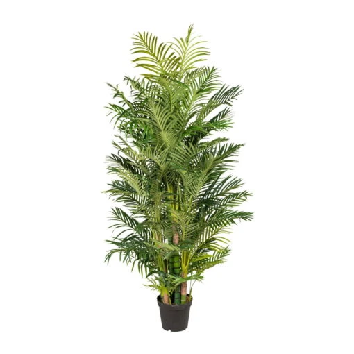 Kunstpflanze Areca-Palme, Höhe Ca. 220 Cm -Freien Garten Promotion Geschäft 2220102279 Arecapalme 103024