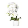 Kunstpflanze Phalaenopsis 'Real Touch', Weiß, Topf-Ø 15 Cm, Höhe Ca. 60 Cm -Freien Garten Promotion Geschäft 2220500369 Orchidee Phalaenopsis x4 ca 60cm weiss 97773