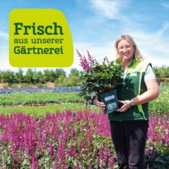 Freien Garten Promotion Geschäft -Freien Garten Promotion Geschäft frau setz eigenproduktion 39