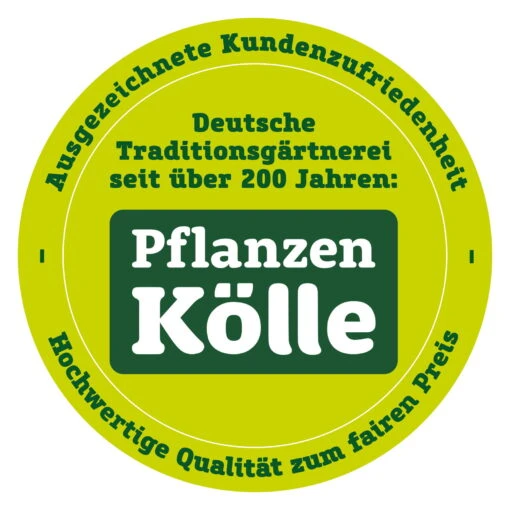 Edelstahl-Feuerstelle 'X 50', Schwarz, 28 X 55 Cm -Freien Garten Promotion Geschäft qualitaetssiegel pflanzen koelle 3000x3000 70847 3